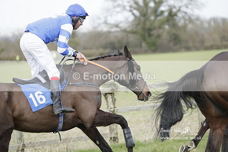 PtP 250223 0291 - Kimblewick Hunt Point-to-Point Kingston Blount 25/02/23