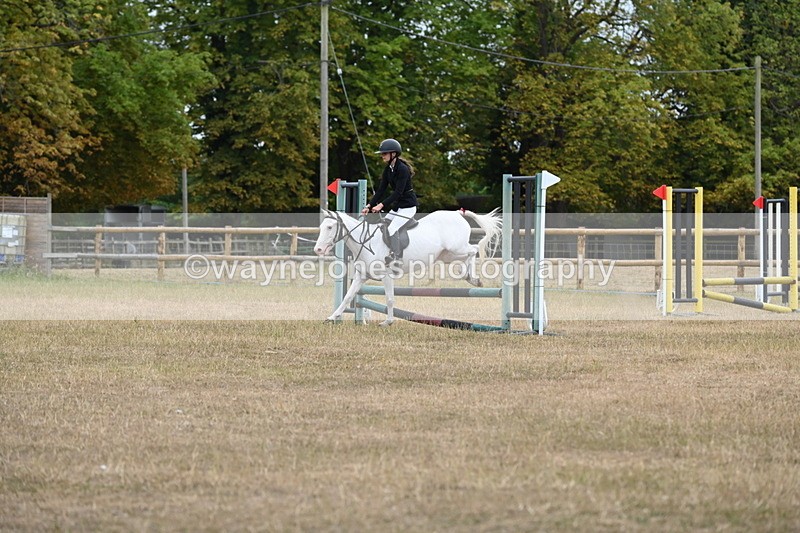 WJ6_0254 - Class 13 Novice Jumping 60cm