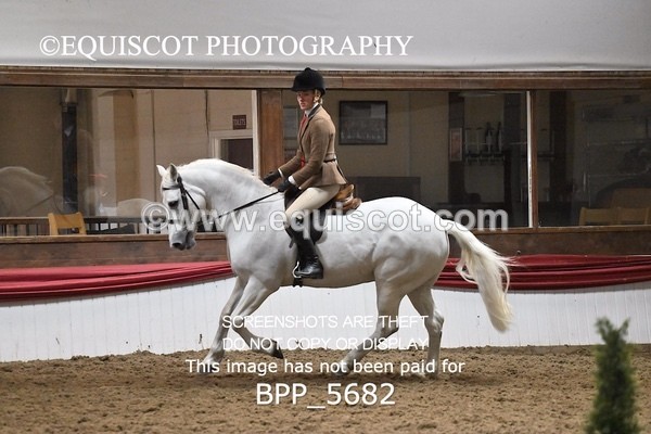 BPP_5682 - CHAMPIONSHIP