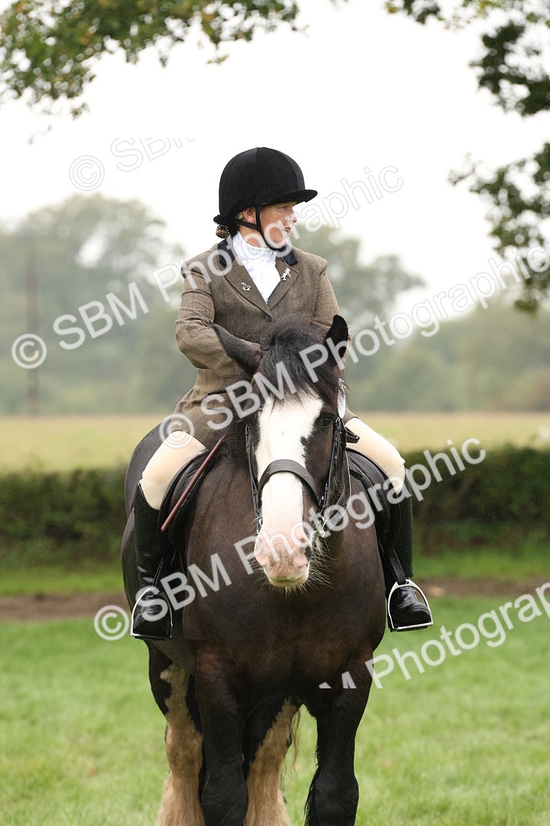 SBM_69850 - S69 - Show Cob Ridden