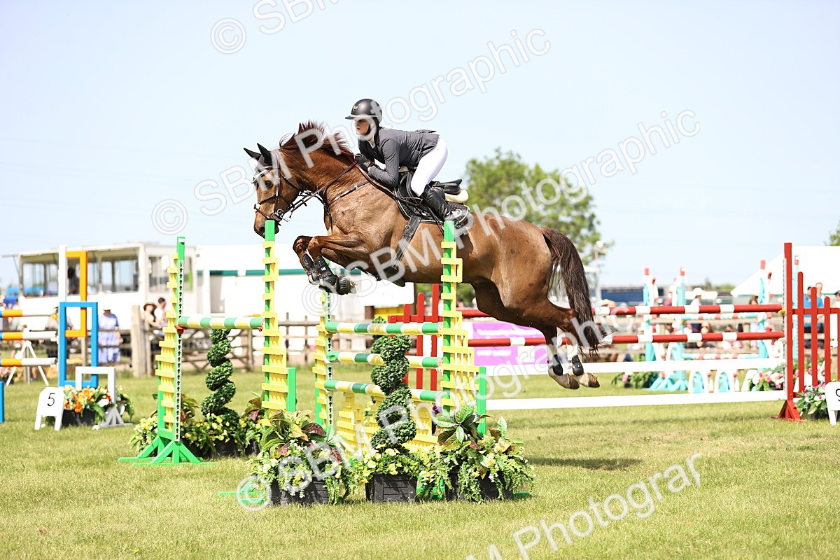 SBM_03184 - Class 201 - British Horse Feedds Speedi Beet HOYS Grade C