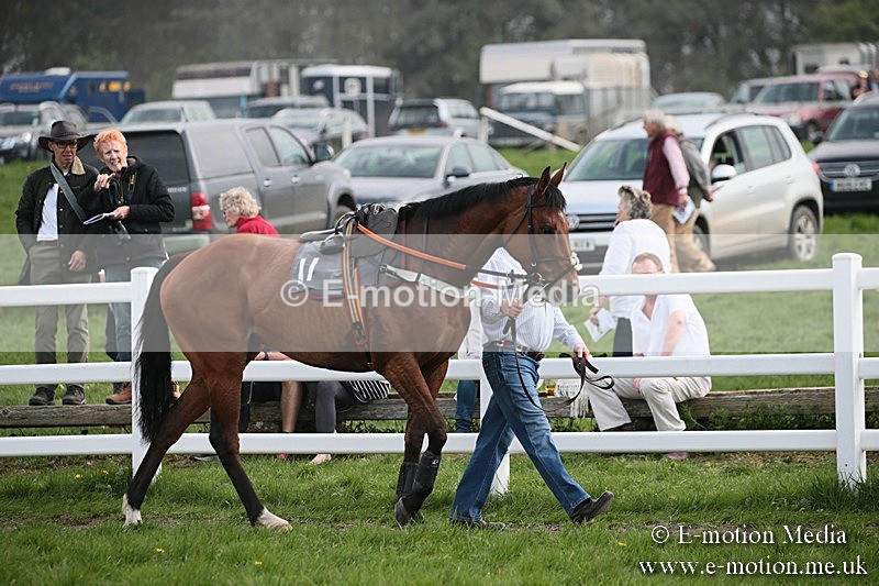 PtP 210418 304 - South & West Wilts Point-to-Point Larkhill 21/04/18