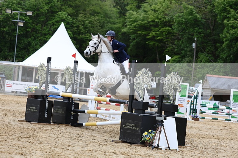 3E7A6361 - Class 4: Senior British Novice/90cm open