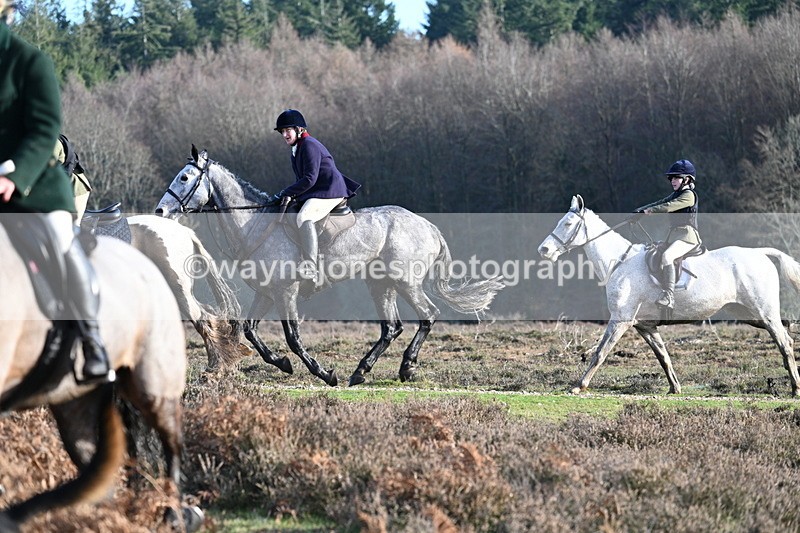 WJ7_7985 - Line 3 (no line 4 or 5)