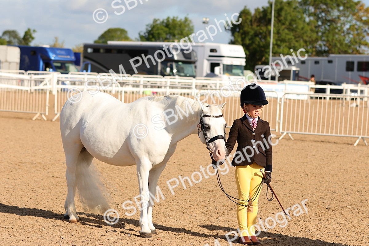 SBM_08682 - Class 203 - Young Handler 10 Years and Under