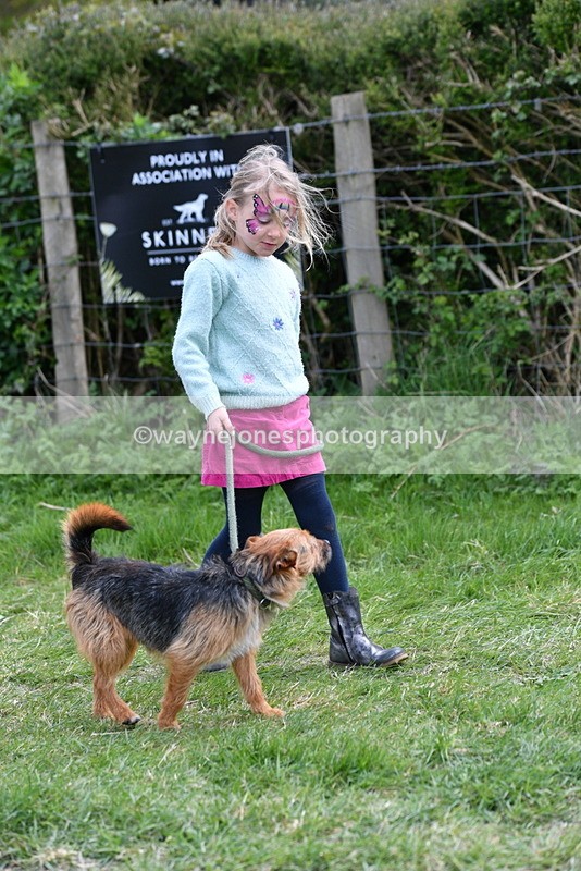 WJ5_0251 - Class 7 Best Terrier