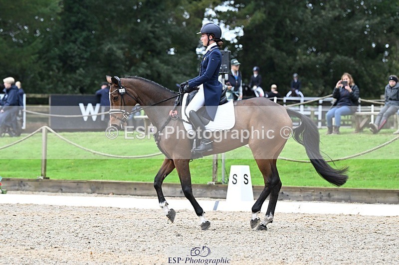 231019-122436-02755 - 044-COOLEY.ON.THE.CARDS-Charlotte.Cooke-DR