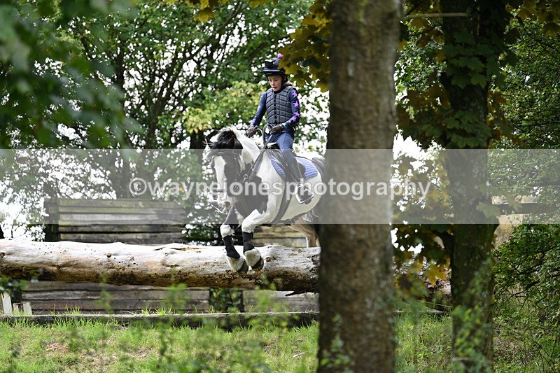 WJ7_8219 - Time 14:11 to 14:30