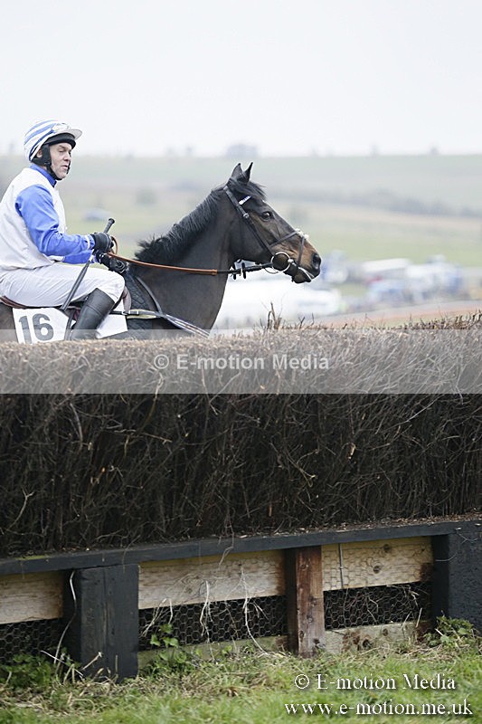 PtP 020418 -285 - Old Berks Point-to-Point Races Easter Monday 02/04/18