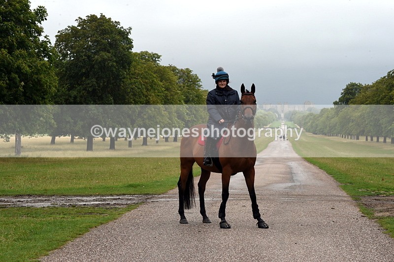 TT3_8332 - Time at Crossing 10:16 to 11:38