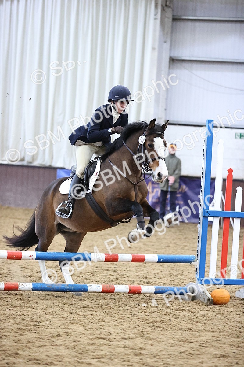 SBM_001166 - Class 3 - Horse & Hound 60cm