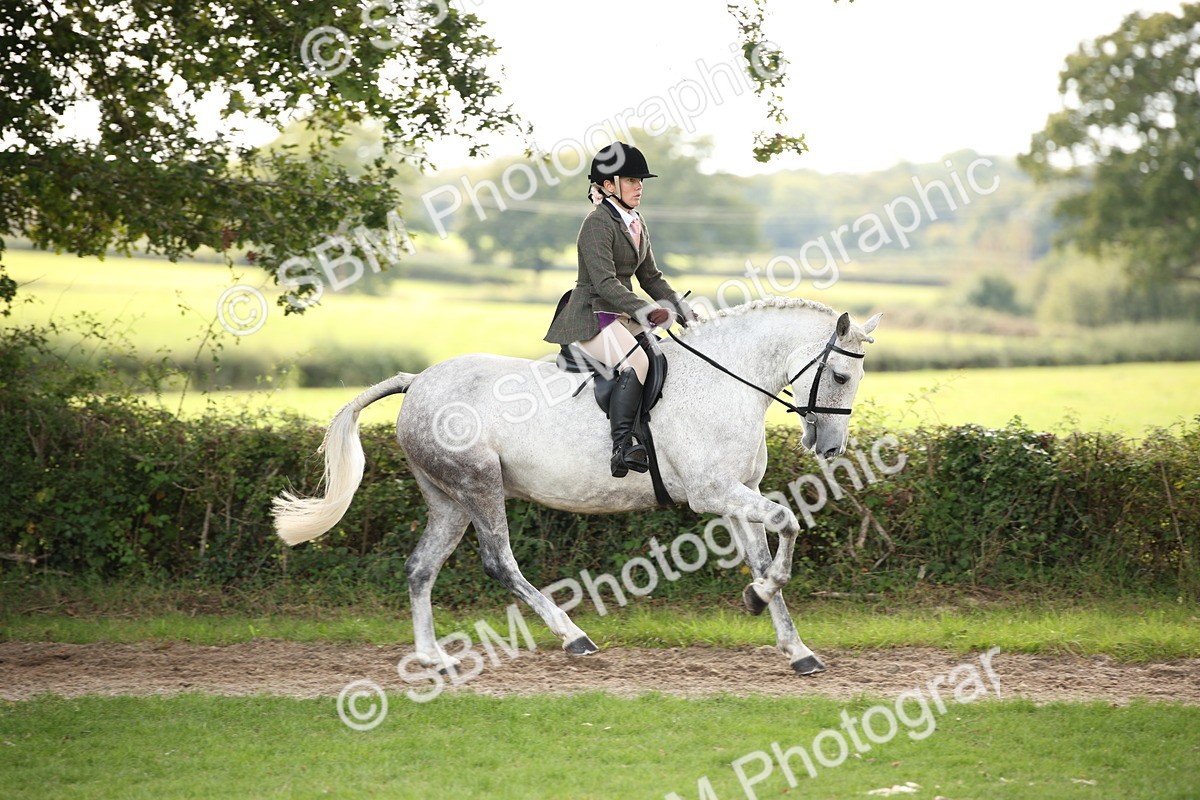 SBM_70384 - S66 - Hunter Ridden