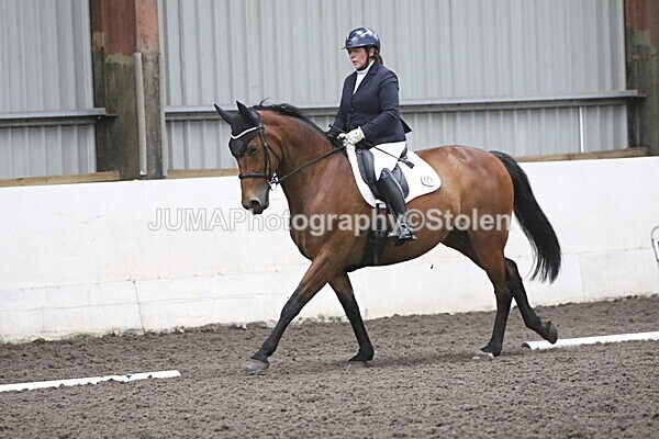 SIAL5298 - CAbin Dressage 5th july 2025