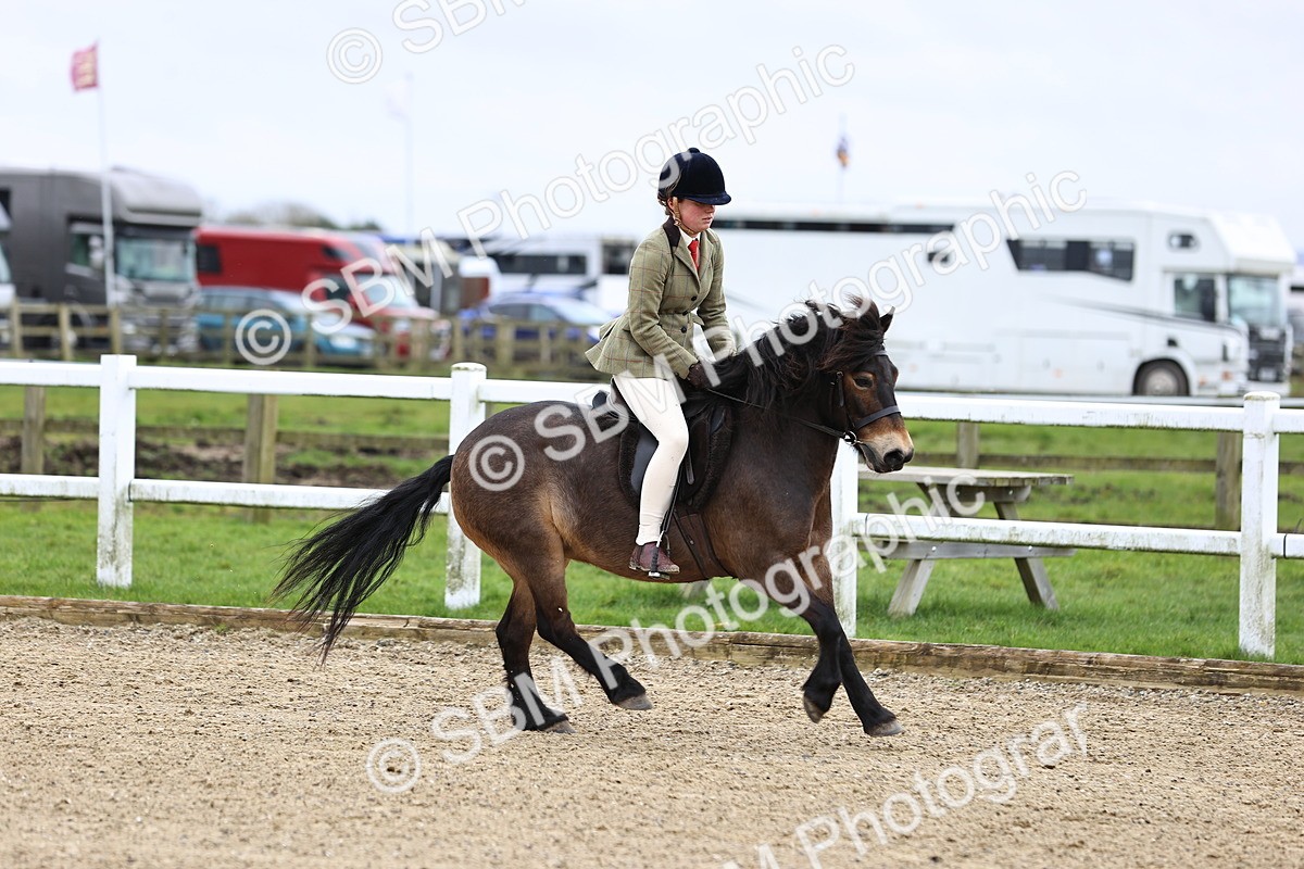 SBM_006857 - Class 29 - 30 - M&M Pure Novice Small-Large Breeds