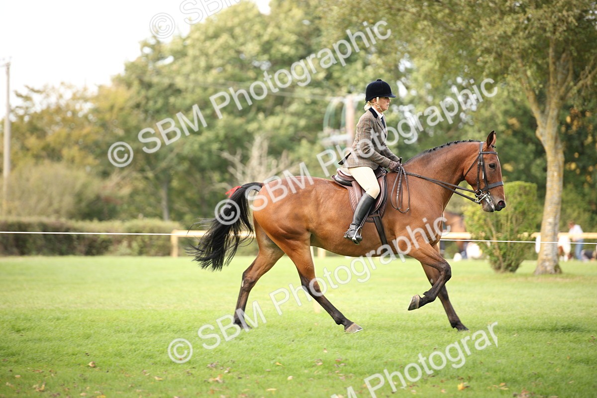 SBM_70375 - S66 - Hunter Ridden