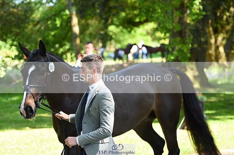 230524-151010-00104 - 309-PLOT_TWIST_B-Tom_Jackson-WEDTrotUp+DR