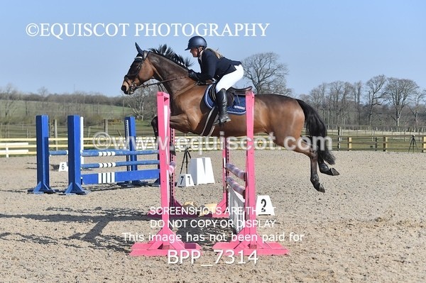 BPP_7314 - CLASS 2 Senior British Novice/ 90cm Open