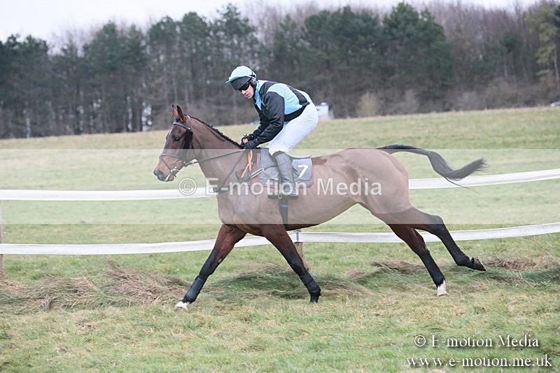 PtP 230119 275 - Royal Artillery Point-to-Point  - Larkhill  - 26/01/19