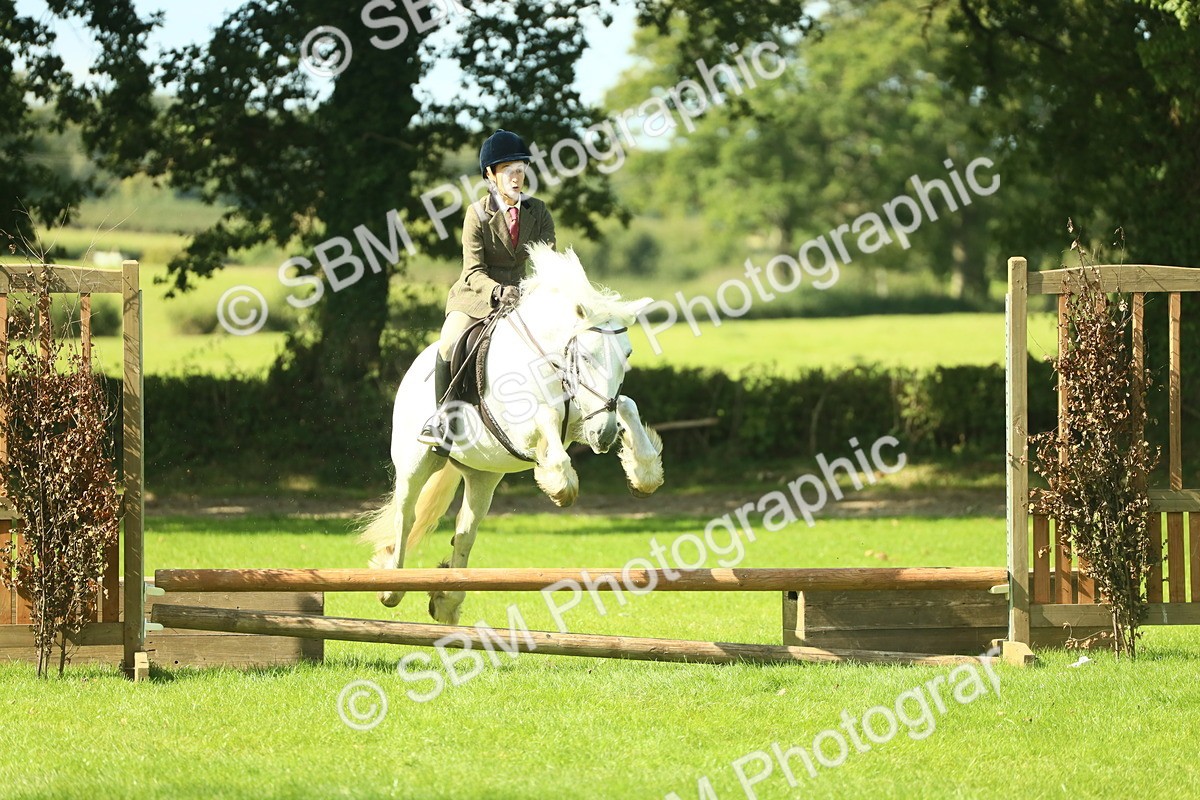SBM_41986 - S29 - Novice & Newcomers Working Hunter Pony