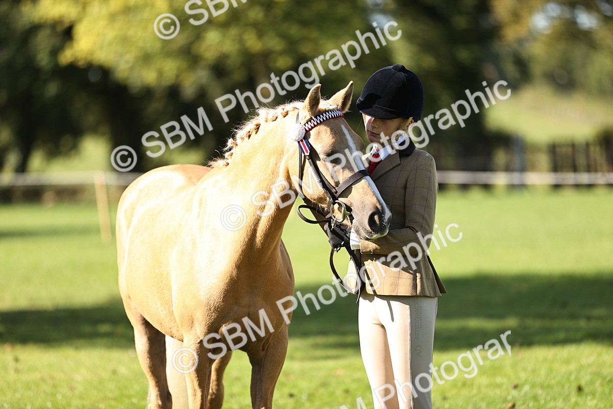 SBM_15941 - S1 - TSR in Hand Horse & Pony Showing