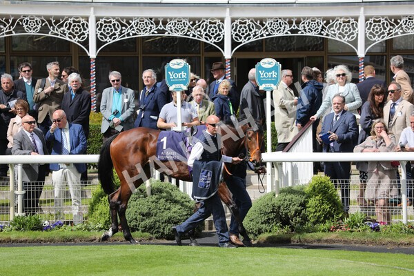 yr12052022r2-11 - Race 2 2.25pm Al Basti Equiworld Dubai Middleton Fillies' Stakes