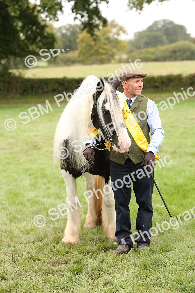SBM_59360 - S57 - Traditional Cob In Hand