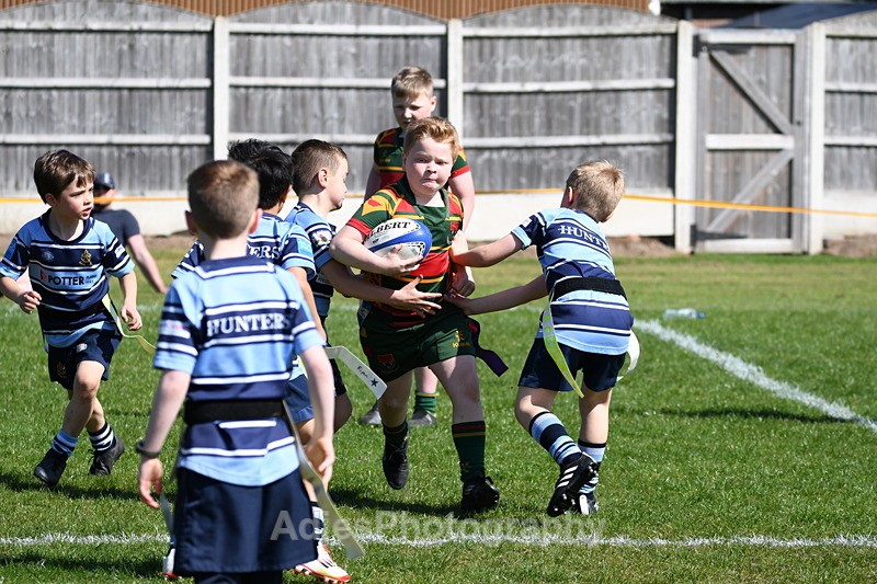  - Selby Rugby Festival 2025
