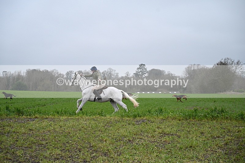 WJ7_9694 - Walk out..