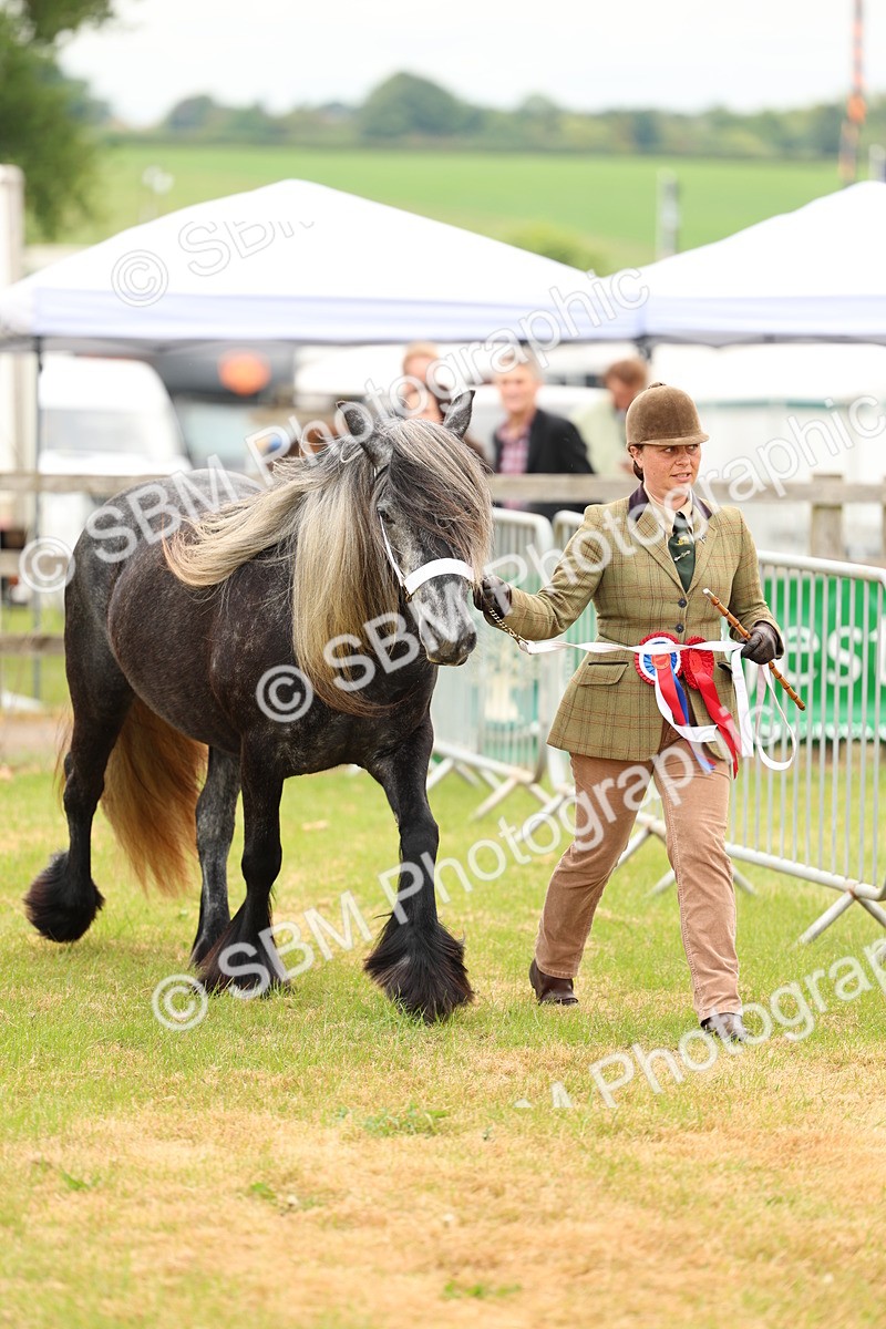 SBM_03552 - Class 58-67 - M&M Non Welsh Pony In hand