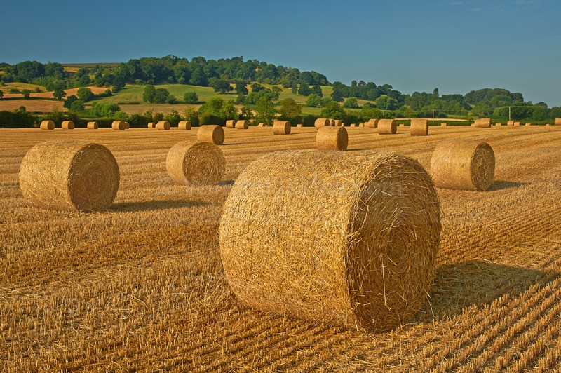  - Cotswolds