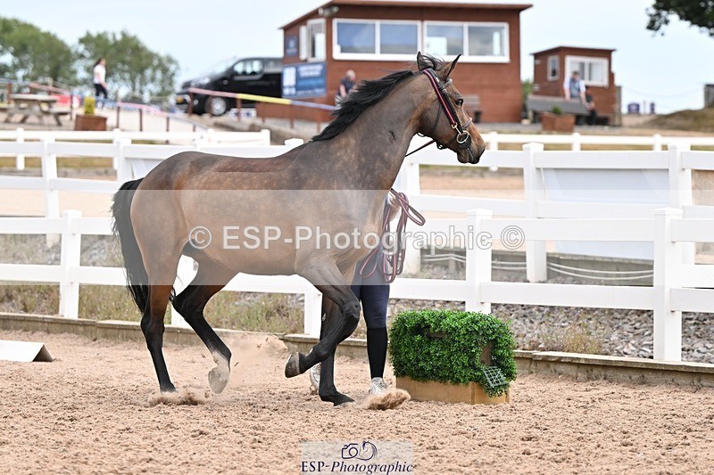 250716-151850-01863 - Trot Up 2.30 to 3.30