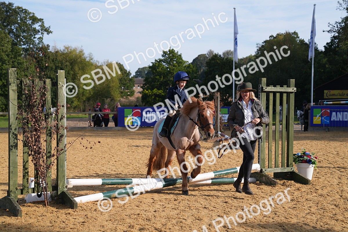 SBM_61272 - J1 - Mini Tour Junior Pony Lead Rein 30cm Championship