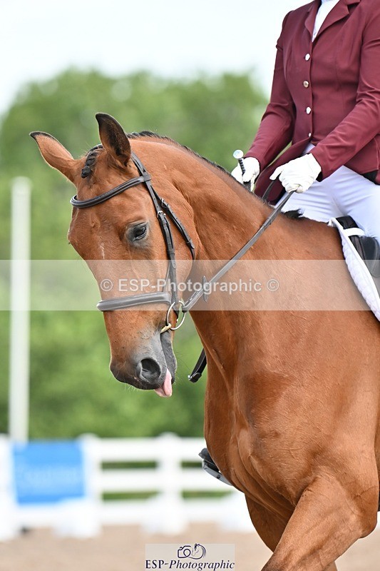 250620-102630-01773 - BD Cls 2 - Preliminary 6, 9.50am to End