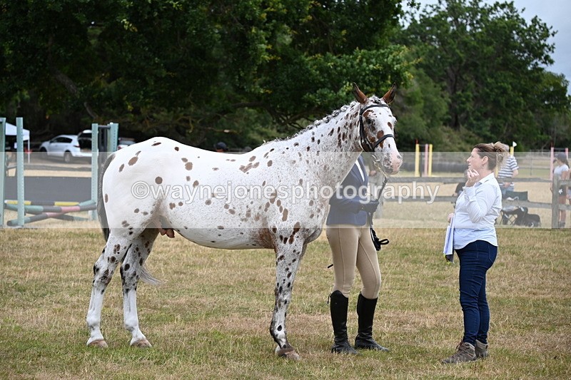 WJ6_4263 - Class 10 Coloured In-hand