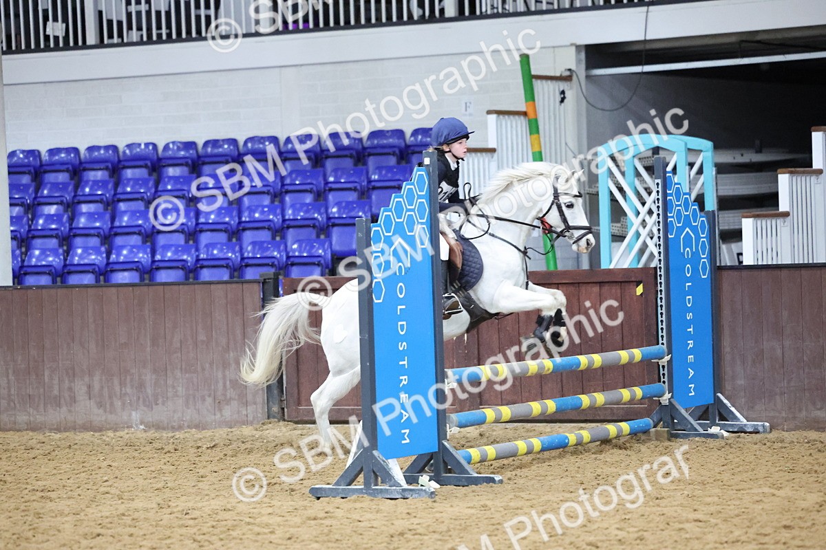 SBM_001020 - Class 3 - Christmas Tree Stakes - 60cm