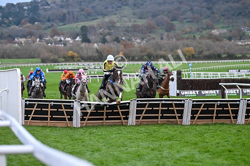 171124-Race 5-Burdett Road-4270 - Race 5