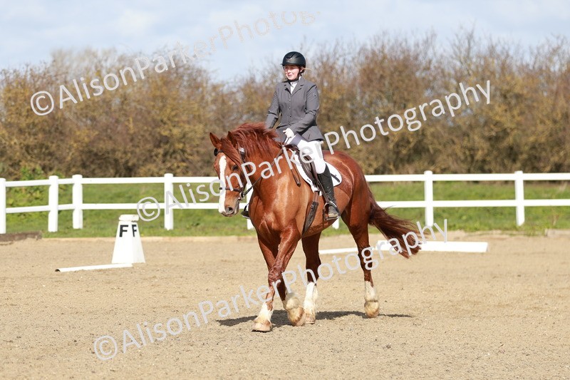 20260314-2828 - DR3 - Prelim 1