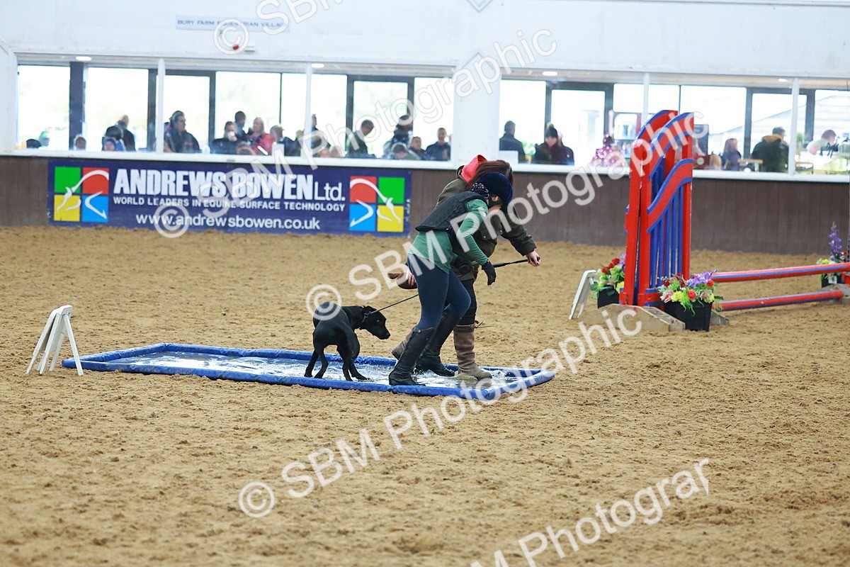 SBM_002427 - Class 3 - Horse & Hound (60cm)
