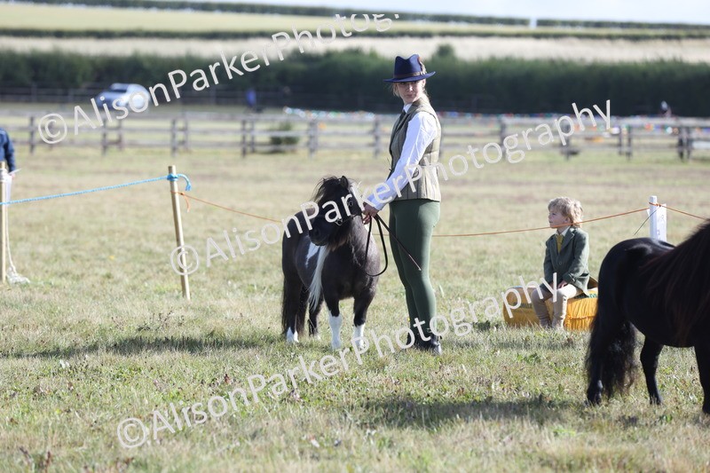 20250831-1339 - Class 21 - Inhand Open