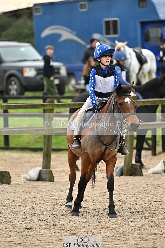 241110-141701-01079 - 60-65cm Arena Eventing