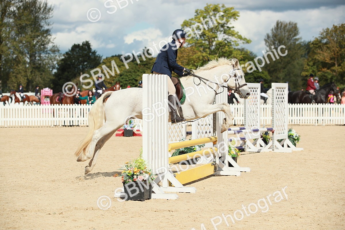 SBM_06068 - J29 Senior 65cm Championship