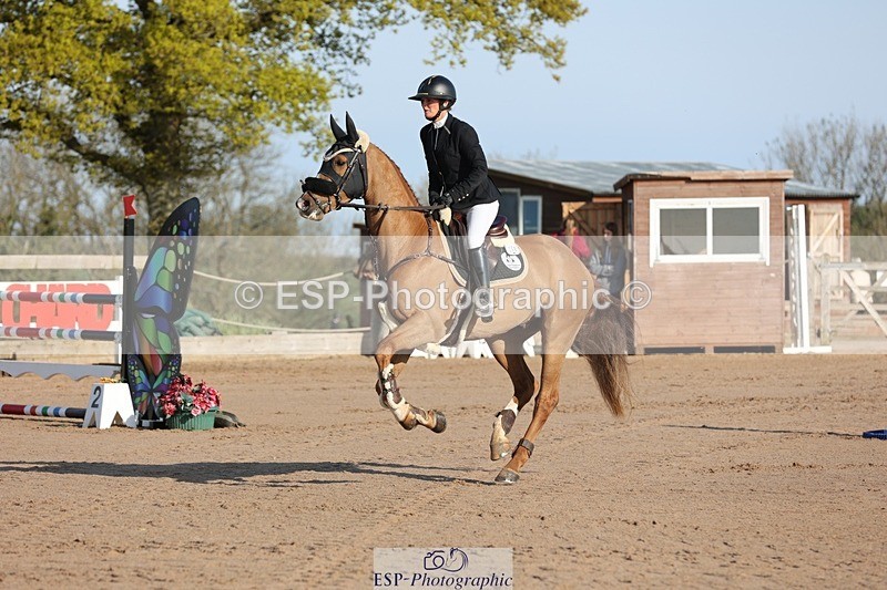 250427-083311-14523 - Cls 28 Young Horse 5yr old