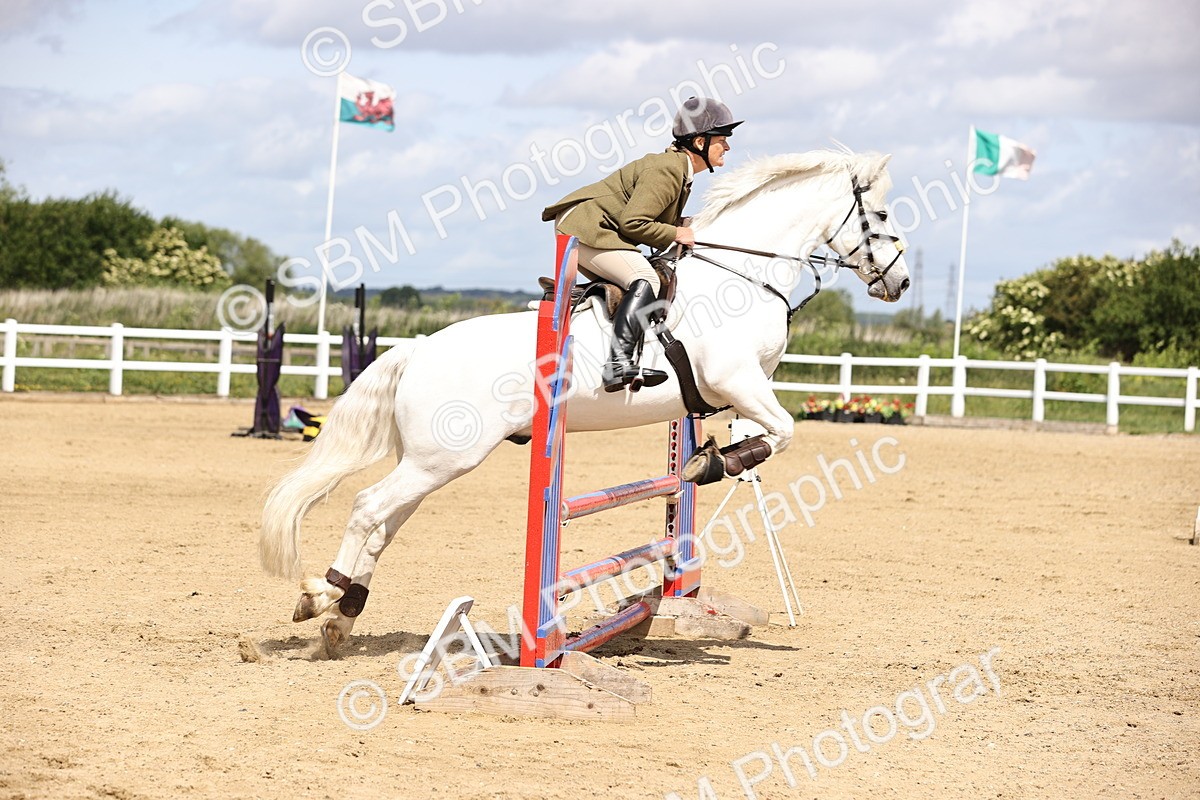 SBM_007270 - Class 2 - 80cm showjumping