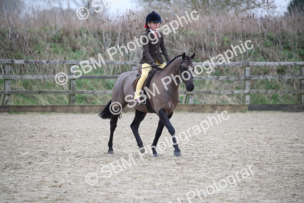 SBM_004597 - Class 5-9 - NPS In Hand-Show Hunter-Intermediate Ridden Inc Ridden Championship