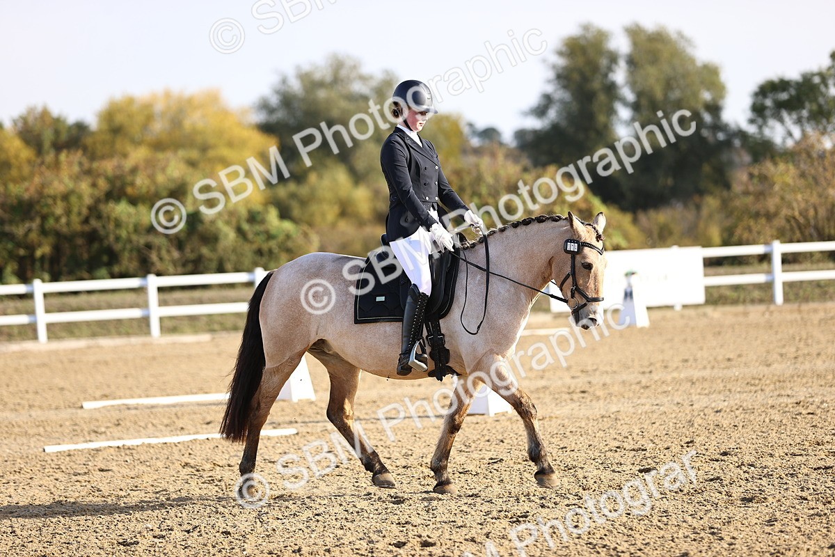 SBM_009097 - Class 2 - P5