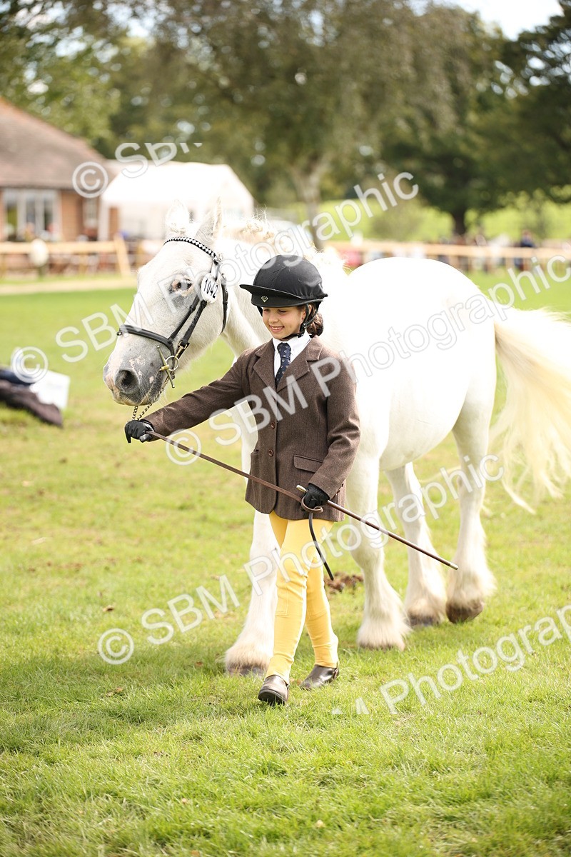 SBM_46399 - S25 - Mature Veteran In Hand