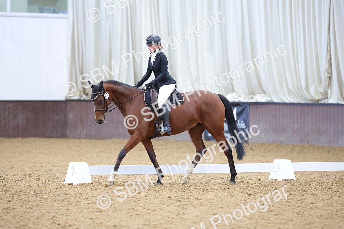 SBM_003884 - Novice