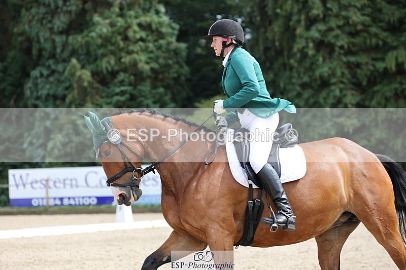 250718A-153020-02584 - 152-Tracy.OKennedy-Wylye.Harlequin
