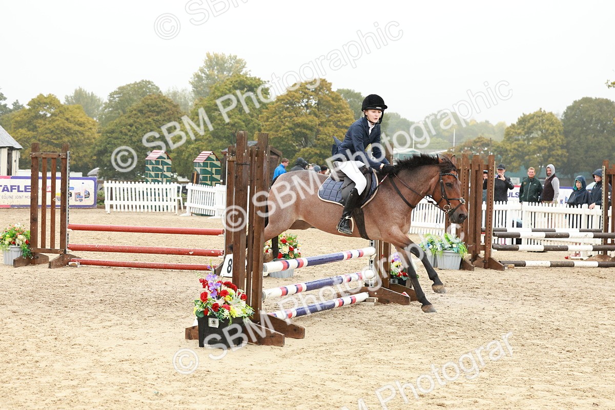 SBM_73275 - Supreme Championship Junior Pony 60cm & 65cm