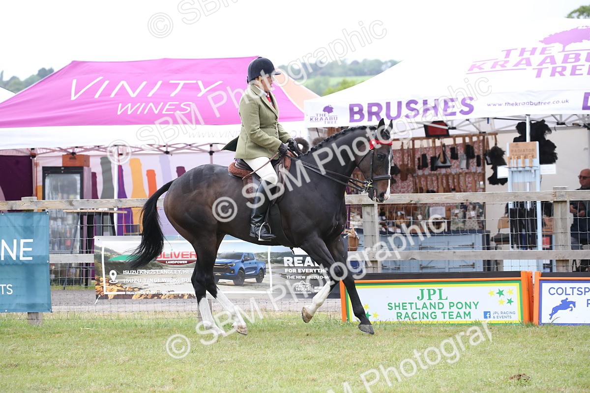 SBM_11426 - Class 94 - LIHS BSHA Racehorse to Showhorse